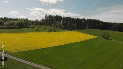 Aerial view of blooming Rapeseed Fields at a sunny Day