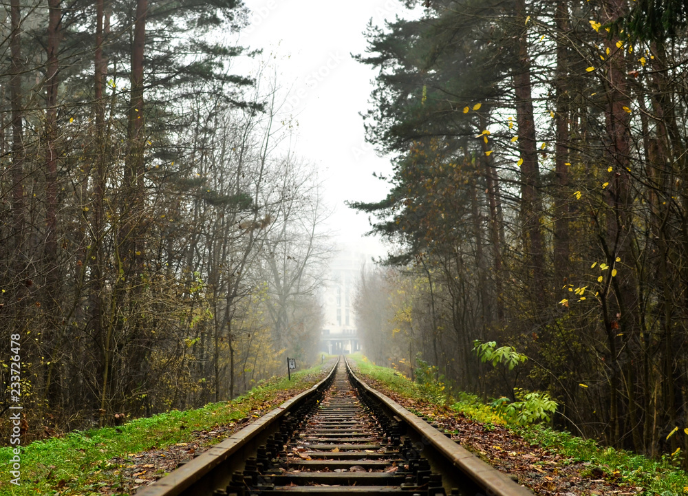 Obraz premium Railway, fog in the forest. Fallen yellow leaves on wooden sleepers. Cloudy autumn weather in November.
