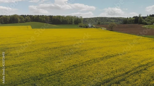 Aerial view of blooming Rapeseed Fields at a sunny Day