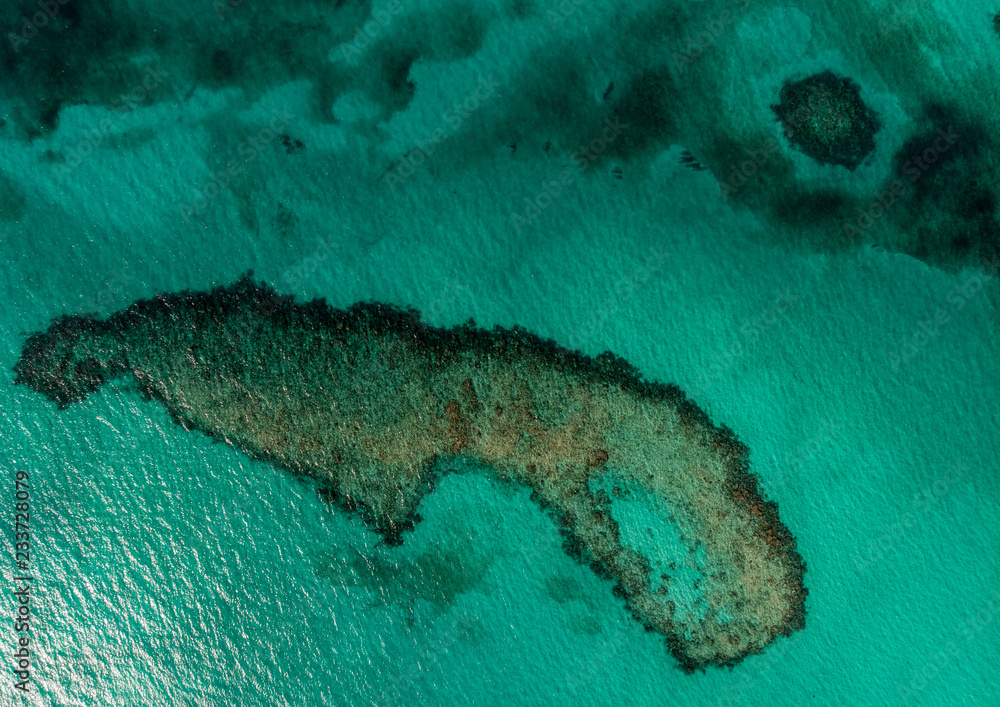 Coral Reef Bird's  eye view, the Bahamas, reef in Caribbean, the world from above, shades of natural blue