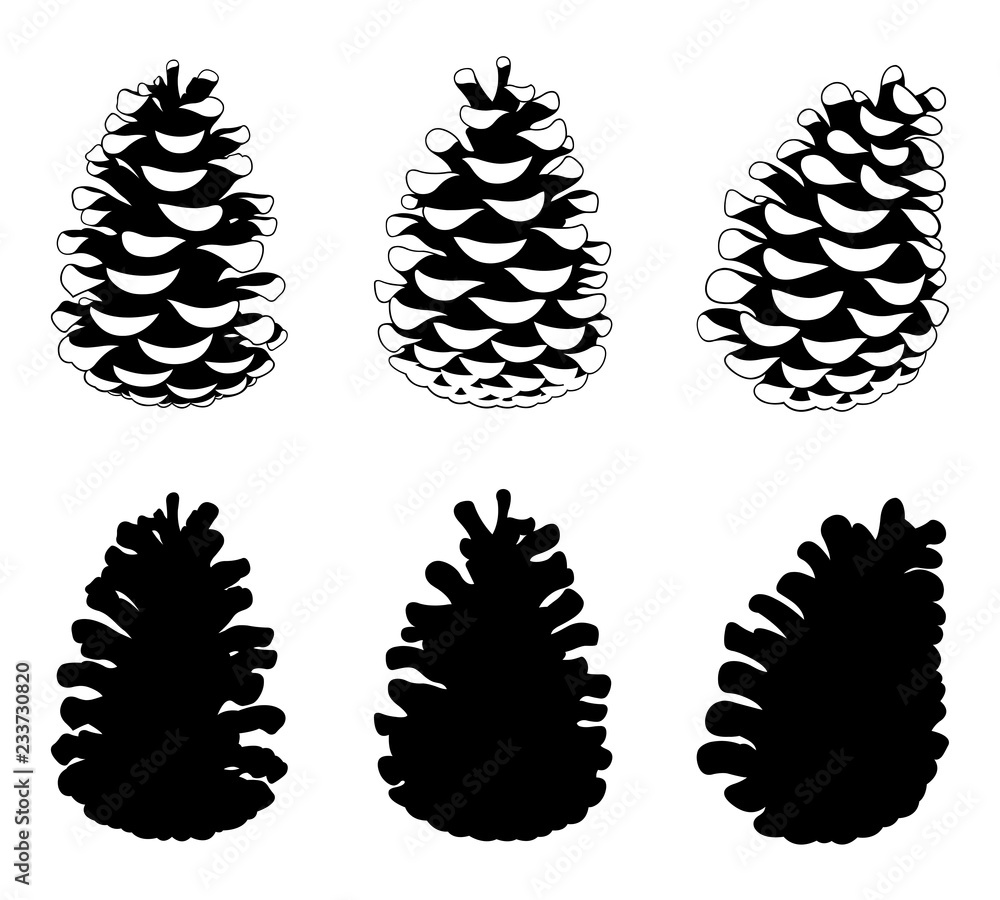 Set of different pine cones isolated on white