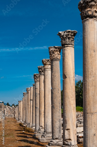 Majestic view of Agora of Ephesus from columnar road and columns,Turkey.