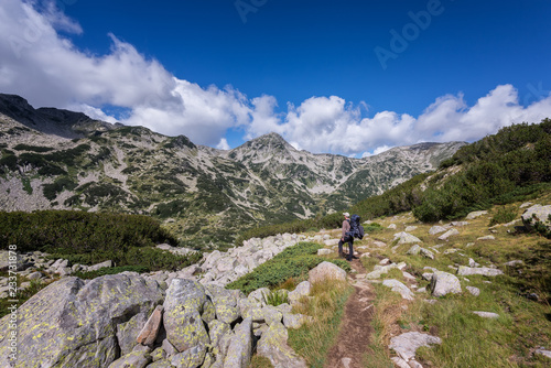 Summer mountain hiking / Rear view of a man with a backpack hiking in the summer mountain