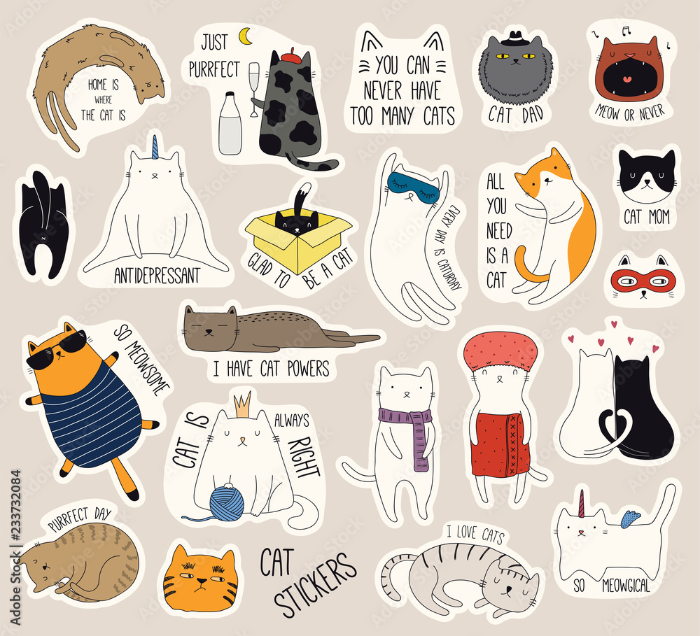 Set of cute funny stickers with color doodles of different cats with quotes.  Isolated objects. Hand drawn vector illustration. Line drawing. Design  concept for print, logo, icon, badge, label, patch. Stock Vector |