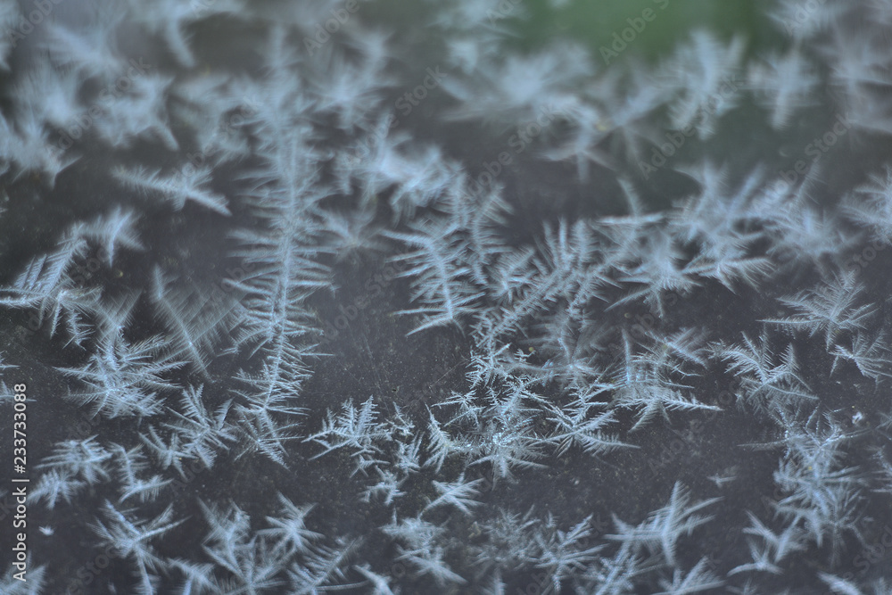 frost on the glass frost on the glass