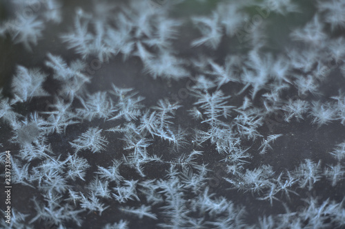 frost on the glass winter background