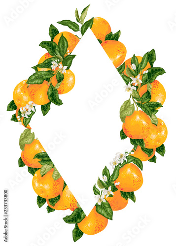 Vector rhombus frame decoration with citrus grapefruit and pomelo branches