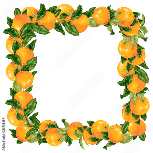 Vector grapefruit branches in a frame decoration