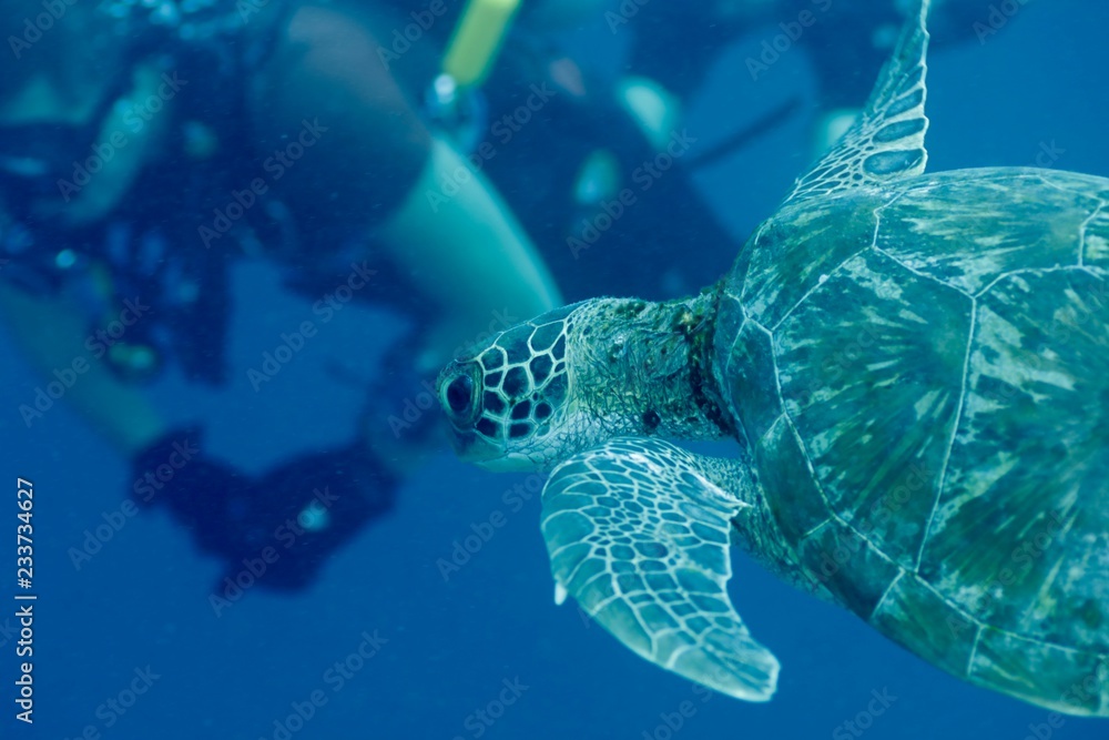 Obraz premium Around.Travel Maldives 2018