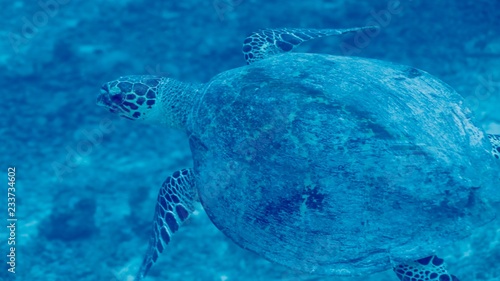 Fototapeta Naklejka Na Ścianę i Meble -  Around.Travel Maldives 2018