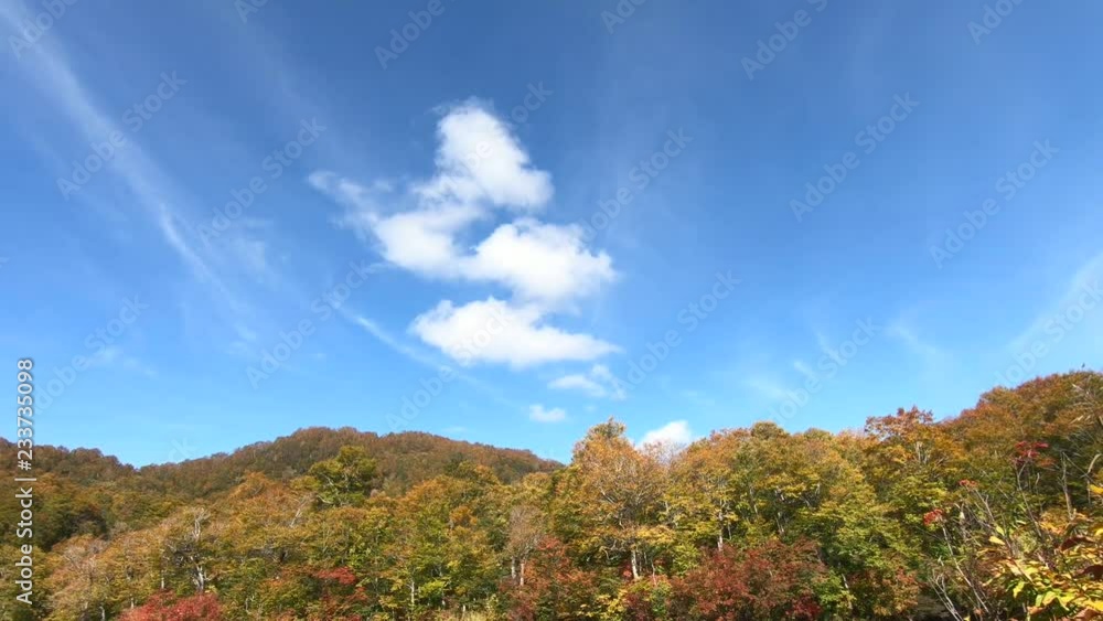雨飾高原　鎌池の紅葉