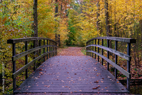 walkway in a park in autumn