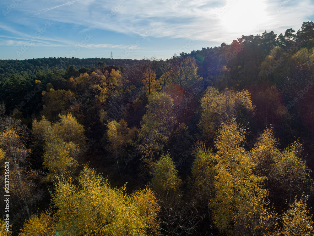 Aerial View of Autumn Forest at Sunset