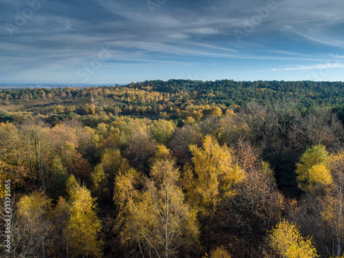 Aerial View of Autumn Forest at Sunset