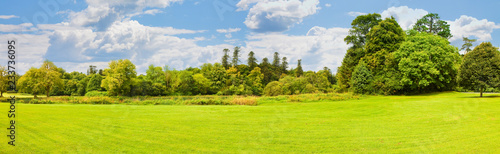 Irish landscape with meadow and forest in the background - panoramic view