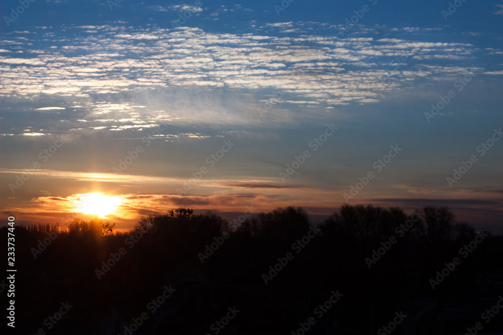Fototapeta premium Dark silhouettes of trees against the rising sun, blue sky and white clouds