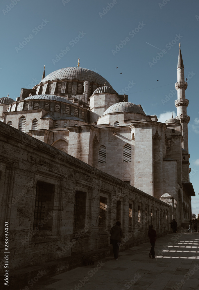 Fototapeta premium istanbul turkey november 2018 Mosque of Suleyman (or Suleymaniye) The Magnificent.
