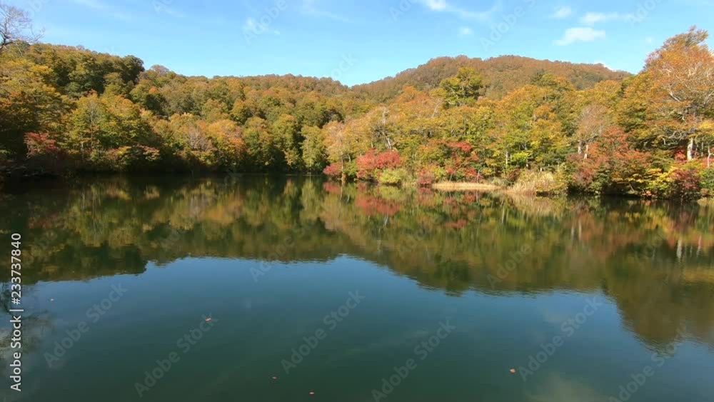 雨飾高原 鎌池の紅葉 雨飾高原 鎌池の紅葉