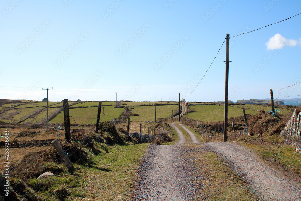 lonely road Schull Long Island, West Cork Ireland lonely road Schull Long Island, West Cork Ireland