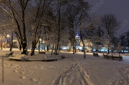 Night winter park in Lviv, Ukraine