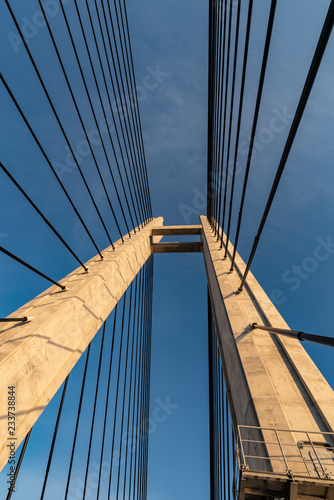 生名橋の主塔とケーブル © pikumin