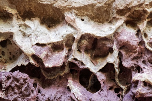 Honeycomb weathering in a natural sandstone and claystone wall.