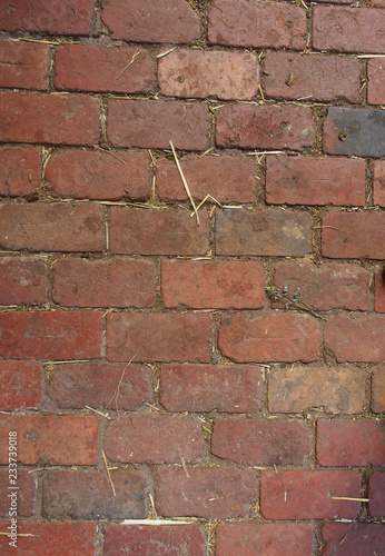 Brick path with straw on it 