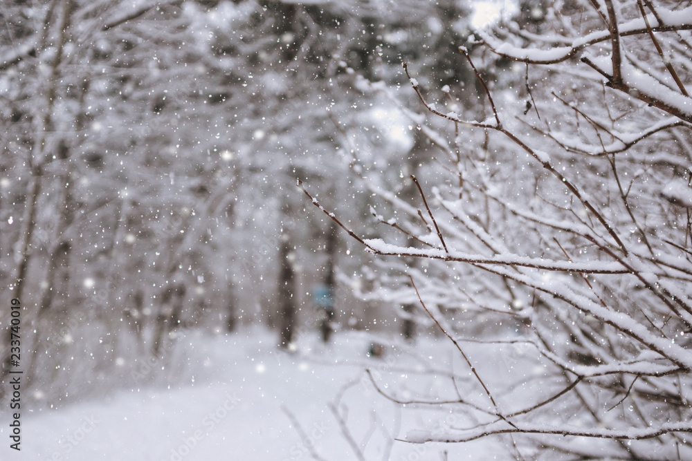 Winter outdoor background with snowflakes Winter outdoor background with snowflakes