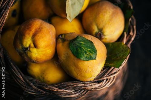 Quince fruit photo