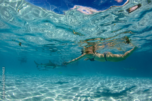 Obraz na płótnie snorkeling in french polynesia with stingray