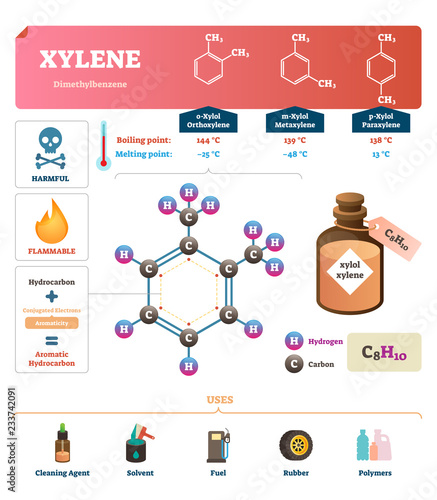Xylene vector illustration. Labeled synthetic substance structure and uses. photo