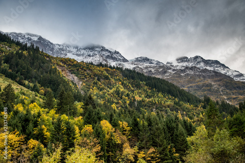 Herbstwald im Lauterbrunnental
