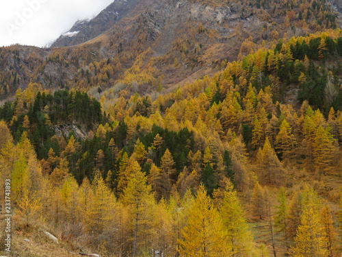 Couleurs automnales dans le Haut-Guil