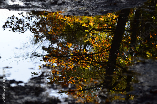 Reflexion im Herbst © werbeslothy