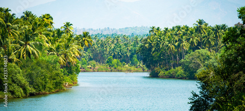 Alleppey's backwater, beautiful canal surrounded by a green and lush vegetation with palm trees. Kerala, India.