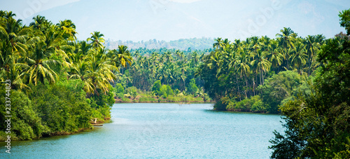 Fotografía Alleppey's backwater, beautiful canal surrounded by a green and lush vegetation with palm trees