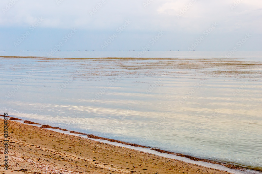 The sandy seaside with the overcast sky, seaweed and ships on the horizon. Taganrog bay, Azov sea, Russia The sandy seaside with the overcast sky, seaweed and ships on the horizon. Taganrog bay, Azov sea, Russia