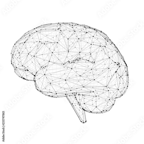 Vector illustration, three-dimensional brain on a white  background