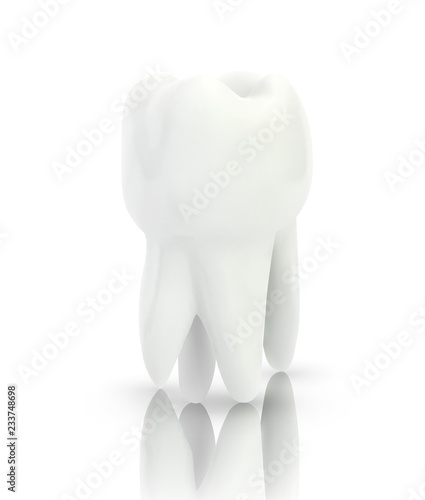 vector 3d tooth for dental medicine. on a white background