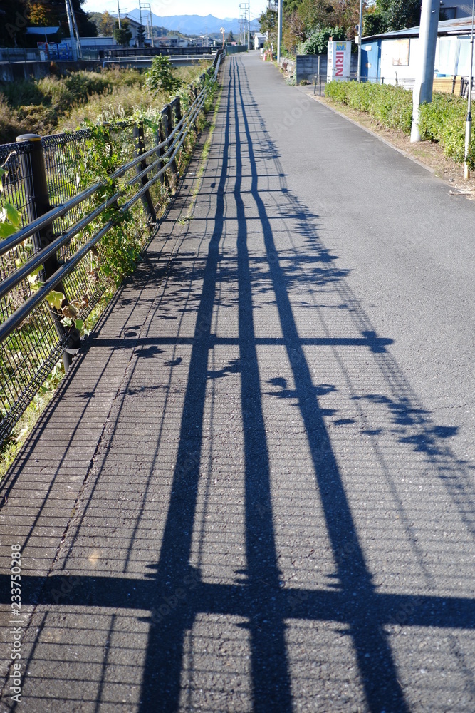 fences shadow fences shadow
