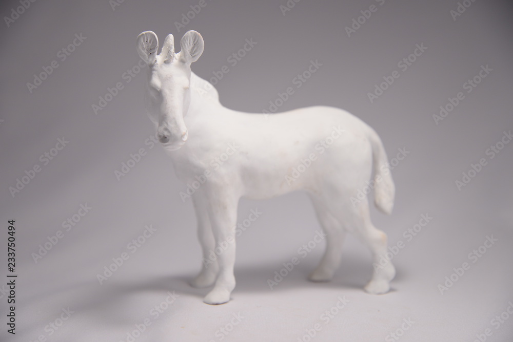 Obraz premium white zebra