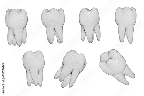 vector set of 3d teeth for dental medicine. isolated on white