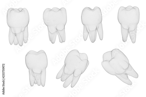 vector set of 3d teeth for dental medicine. isolated on white