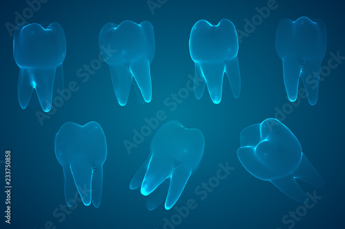 vector set of 3d teeth for dental medicine.