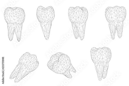 vector set of 3d teeth for dental medicine. isolated on white