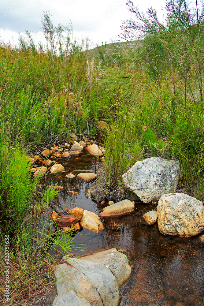 Small rocky stream