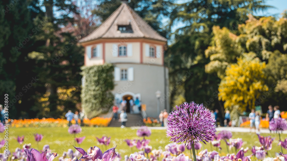 Floral installation on the Mainau island - Bodensee - Bavaria - Germany Floral installation on the Mainau island - Bodensee - Bavaria - Germany