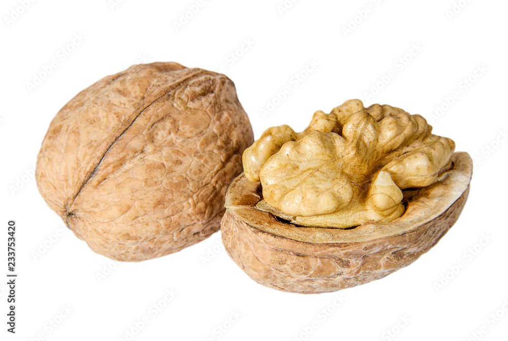 Pair of walnuts on the white background closeup. Pair of walnuts on the white background closeup.