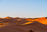 Camel caravan in Sahara desert, Morocco
