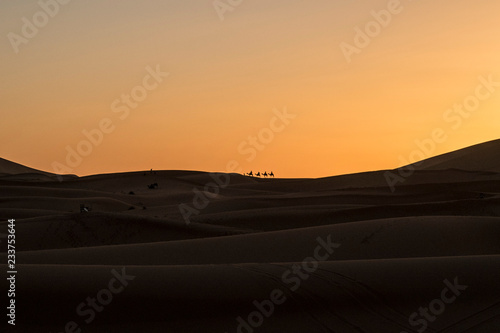 Camel caravan in Sahara desert, Morocco